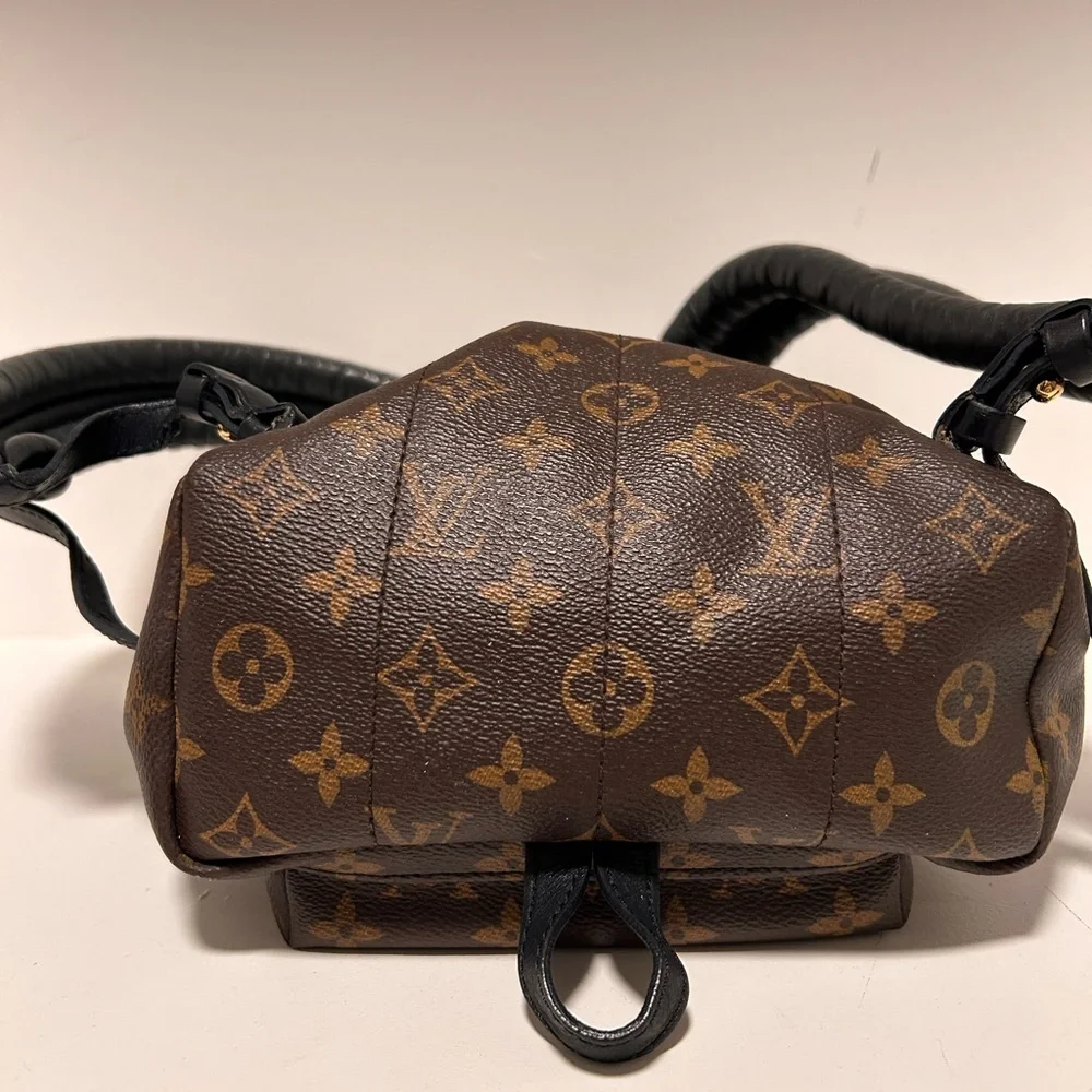 SOLD Louis Vuitton Palm Springs PM - Picture 5 of 15